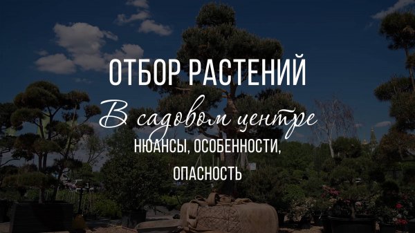 Land Blog | Что нужно знать при покупке растений? Главные ошибки садоводов