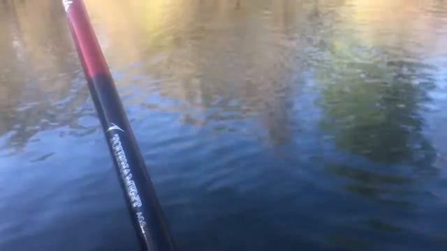 Big Barbi a bolo: un grosso Barbo cercato, sudato e meritato... смотреть онлайн