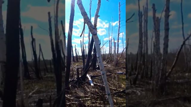 ДОБЫЧА СЕЛЕЗНЯ ЗА ОДНУ МИНУТУ смотреть онлайн