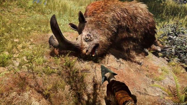 All Rare Animals Location - Far Cry Primal 4K 60 FPS (HD Texture And Max Settings) смотреть онлайн