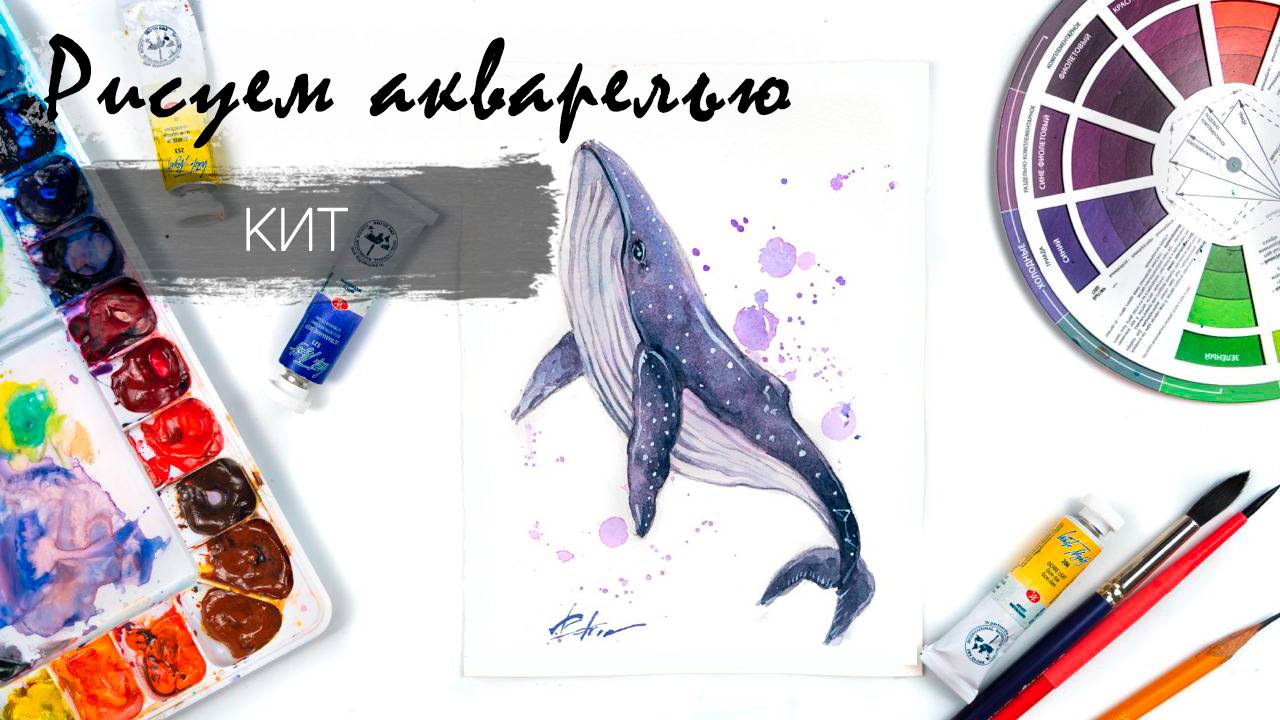 Рисуем кита. Уроки рисования. Акварель смотреть онлайн