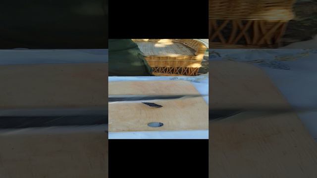 Нож Саха по транспортëрной ленте, дереву. Бритьë коровьего хвоста. смотреть онлайн