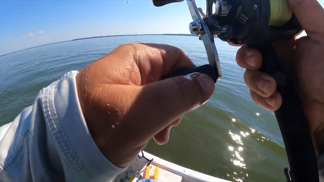 Carolina Skiff J16 White Bass Fishing смотреть онлайн