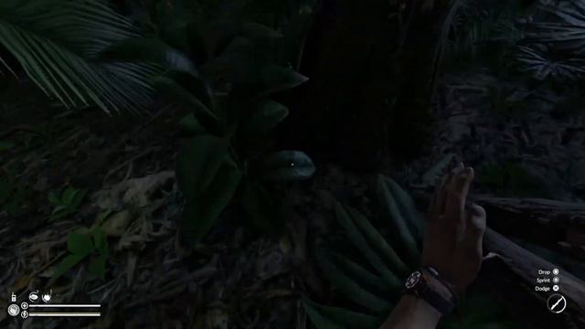 GREEN HELL (PS5) GAMEPLAY смотреть онлайн