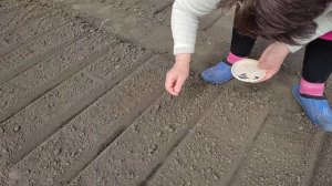 Занимаемся посадками.