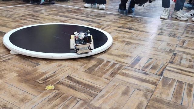 video смотреть онлайн