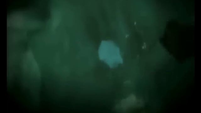 Far Cry 3 music video Buried Alive by Avenged Seve смотреть онлайн