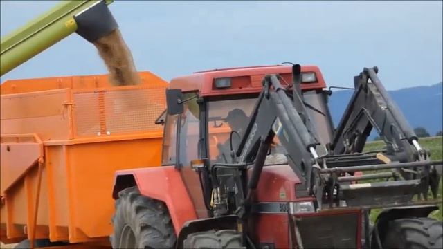 Ernte 2021 Oberharthausen 1 смотреть онлайн