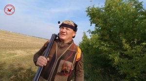 Первая охота на голубя