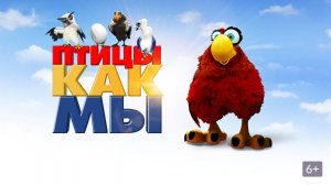 Птицы как мы - Birds Like Us