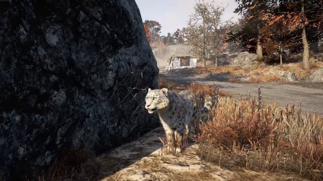 Friendly Leopard смотреть онлайн