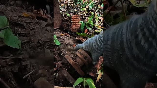 Двойная Находка! смотреть онлайн