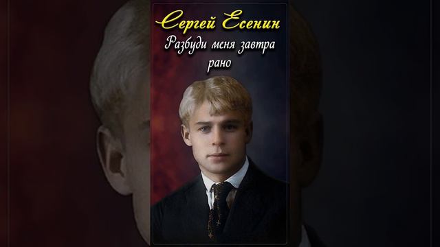 Разбуди меня завтра рано - Сергей Есенин (читает Сергей Безруков) #shorts смотреть онлайн