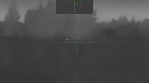 Охота на самца косули с тепловизором, Козёл идёт на монок.