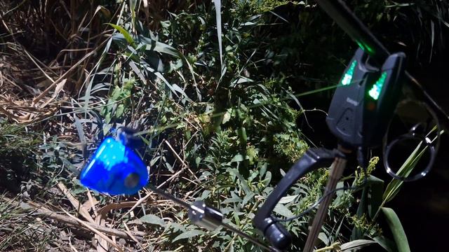 Как поймать амура на полудиком водоеме ⁉️