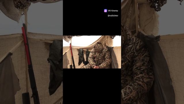 Ты кто такой?! Давай до свидания! Друг охотит