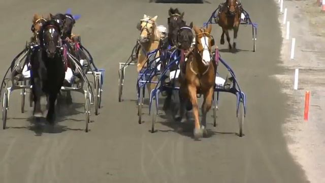 Alm Svartens Äreslöp 2022 - Månlykke A.M. смотреть онлайн