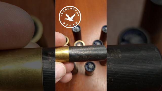 Патроны пуля 28,8гр. 2004г. с гильзой GORDON #охота #оружие #hunter смотреть онлайн