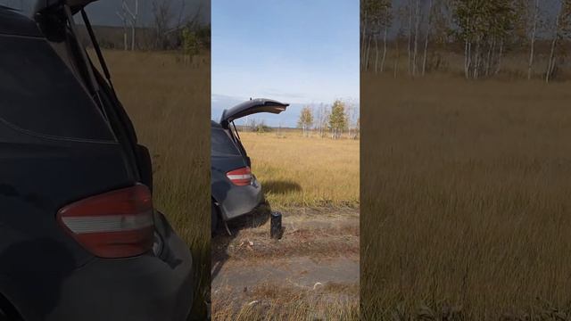 Отличный выстрел по вороне смотреть онлайн