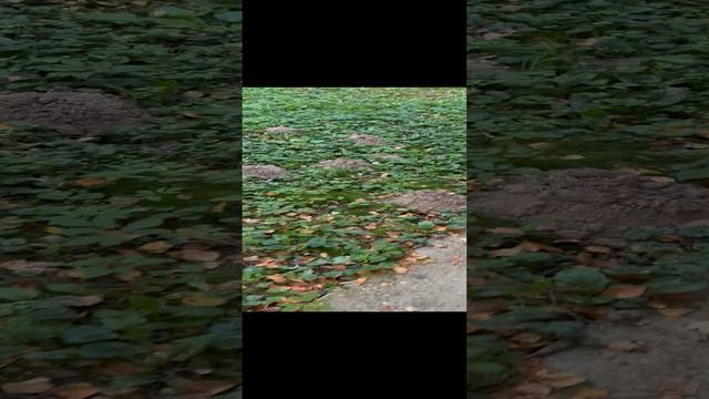 Реальная жизнь