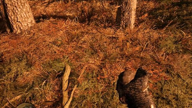 Far Cry Primal Walkthrough Gameplay Video 13 смотреть онлайн