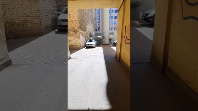 Мусорные баки Каменноостровский