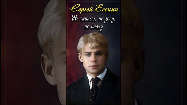 Не жалею, не зову, не плачу - Сергей Есенин (читает Расул Давлетов) #shorts смотреть онлайн