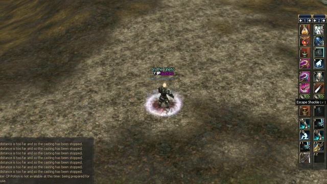 Lineage 2 - Gustavs - Remember The Name 5
