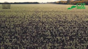 Посевной комплекс Муза