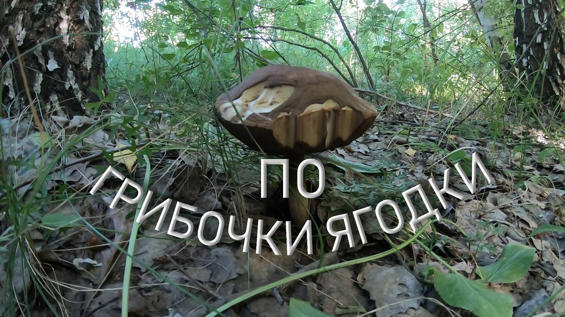 По грибочки ягодки смотреть онлайн
