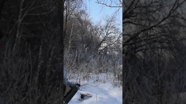 Охота в -35°С смотреть онлайн