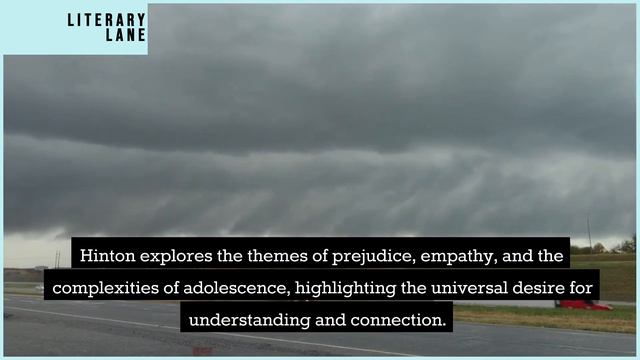 THE OUTSIDERS by S.E. Hinton | A Quick Summary смотреть онлайн