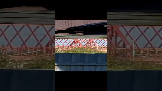 оказывается за нами следят 2 смотреть онлайн