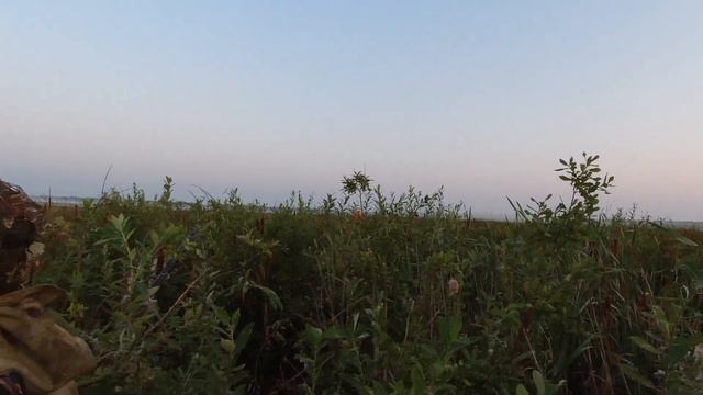 ОХОТА НА УТКУ. Лучшие выстрелы. Утрянка 25 августа 21г смотреть онлайн