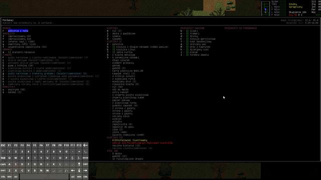Cataclysm: Dark Days Ahead, cz.8 - broń i ogień. смотреть онлайн
