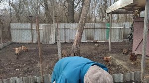 Любителям огорода посвящается!