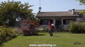 Бензиновый опрыскиватель Cifarelli M1200