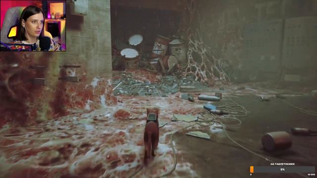 🔴СТРИМ! Прохождение STRAY на PS5 | СТРЕЙ Прохождение смотреть онлайн