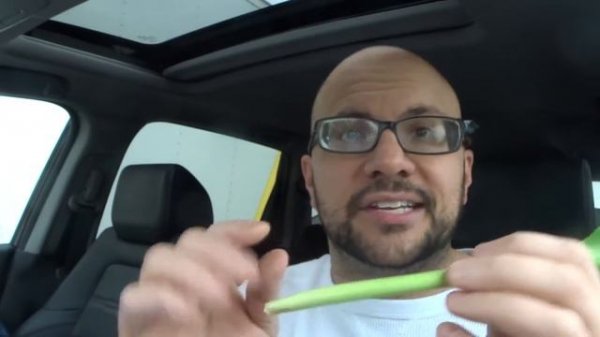 How To Care For A Tulip Indoors-Make The Plant Bloom And Grow