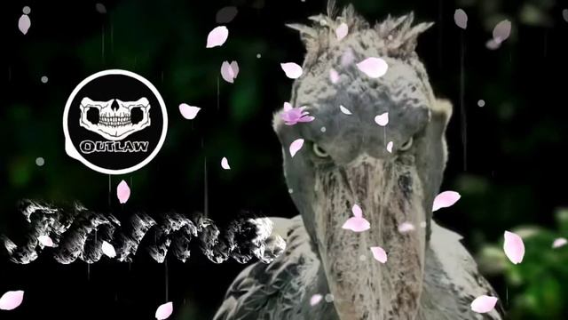 Outlaw-_| Karma- Official Audio смотреть онлайн