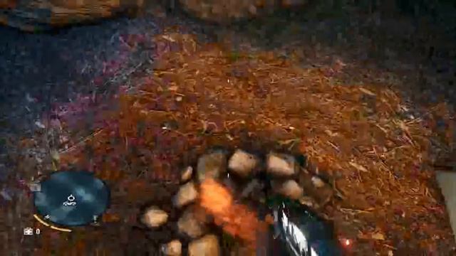 Far cry 3 on low end dual core смотреть онлайн
