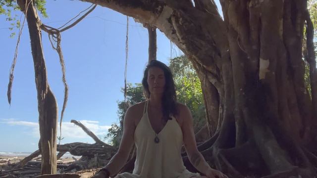 Mindful Awareness Meditation смотреть онлайн