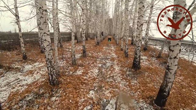 МР 155 Профи. Отстрел чоков смотреть онлайн