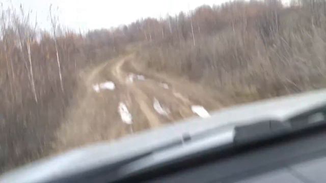 дорога в д. Паткино смотреть онлайн