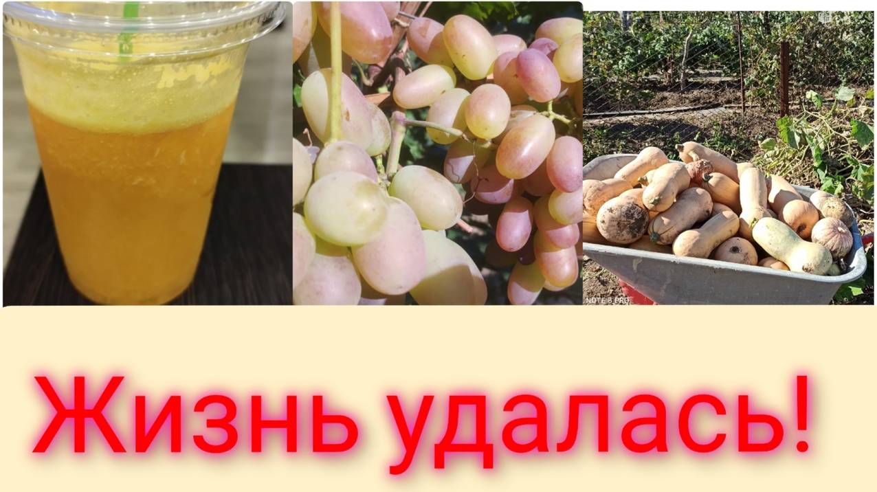 Жизнь удалась! Виноделы в деле/Скоро розыгрыш! смотреть онлайн