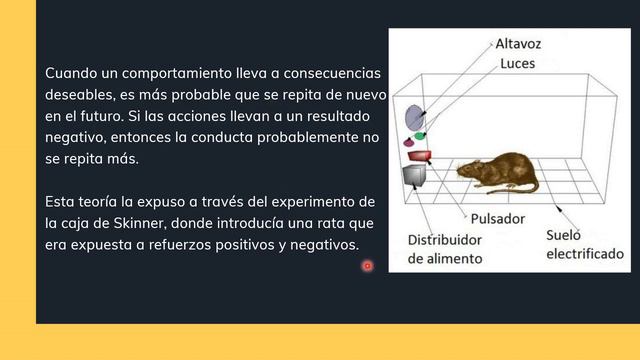 Teorías sobre el aprendizaje de la conducta. смотреть онлайн