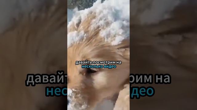 Как Нейросети Изменились За 1 Год! смотреть онлайн