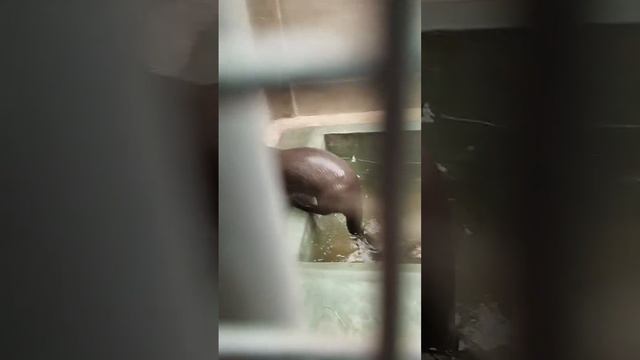 прикол смотреть онлайн