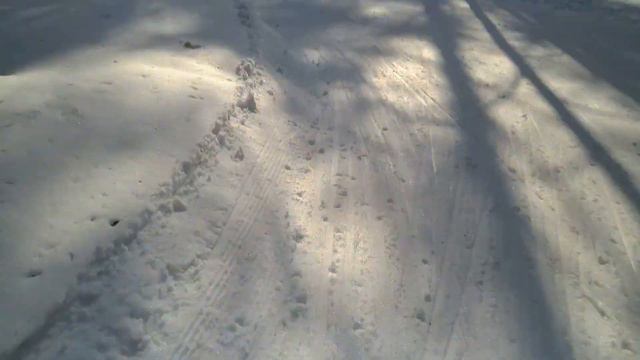 Гонка-закрытие сезона на Волкуше, 16.03.2024 смотреть онлайн