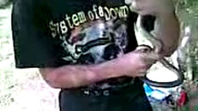 snake hunter смотреть онлайн